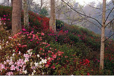 平台游戏《Area 37》Steam上线 支持简体中文